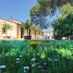 Pisa Holidays Bed & Breakfast